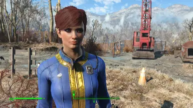 Fallout 4 что такое vanilla