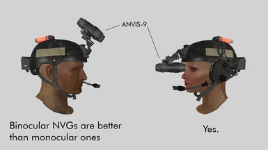Aviator's Night Vision Imaging System 9