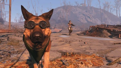 Dogmeat the geek at Fallout 4 Nexus - Mods and community