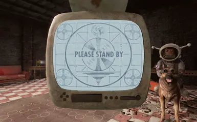 what does special stand for in fallout shelter