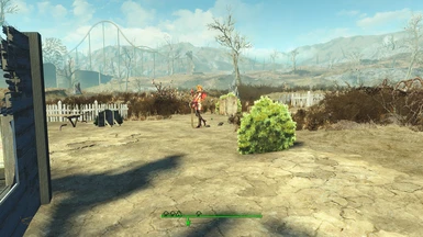 Well that's an odd thing to find in the wasteland