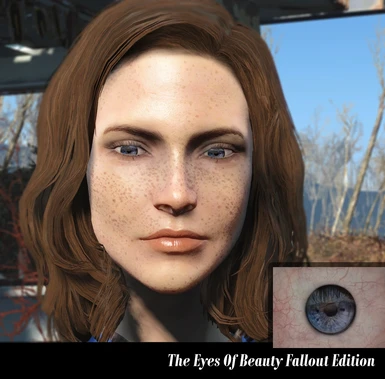 The eyes Of Beauty Fallout 4