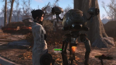 it appears Codsworth can recognise Chinese surname