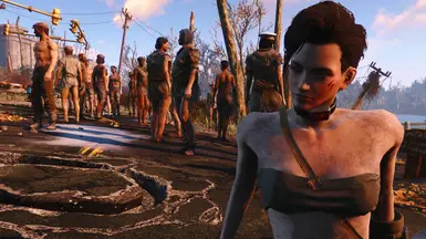 Slave Collar Fallout 4