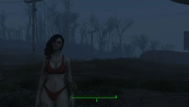 Sporty Underwear at Fallout 4 Nexus - Mods and community