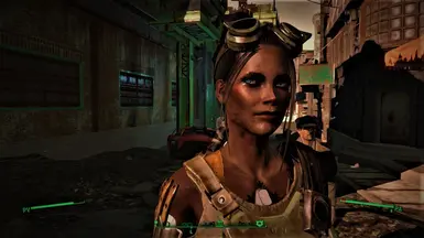 SARA at Fallout 4 Nexus - Mods and community