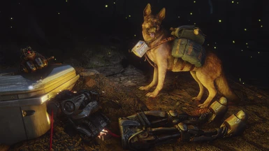 089 Izzie's HARSH Story - Dogmeat on the hunt