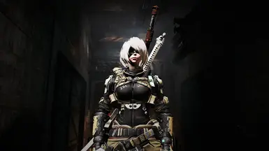 2B at Fallout 4 Nexus - Mods and community