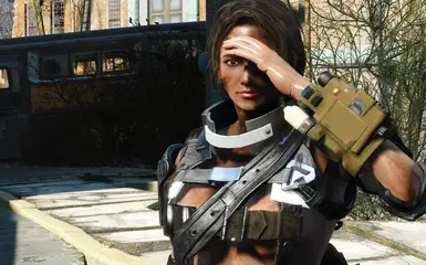 Skimpy outfit at Fallout 4 Nexus - Mods and community