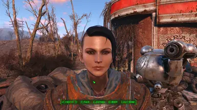 Not a Hooker at Fallout 4 Nexus - Mods and community