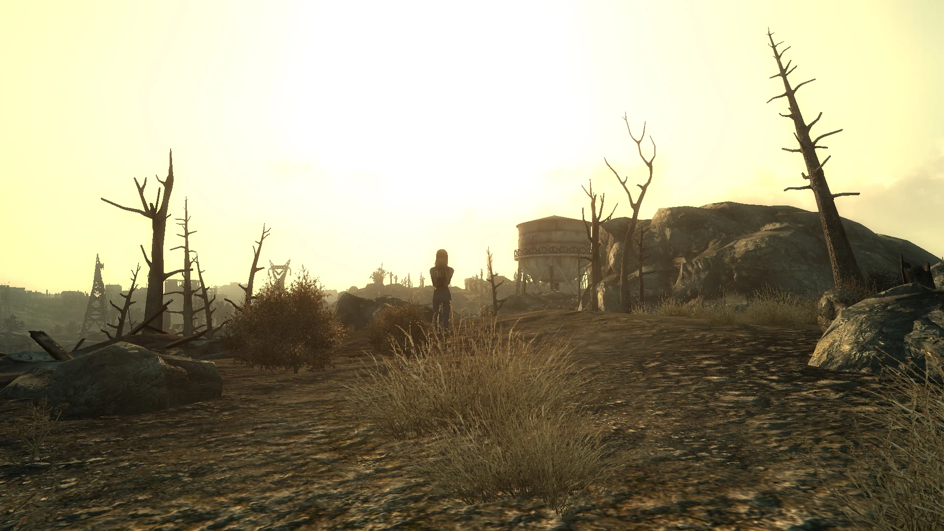 fallout 3 lone wanderer