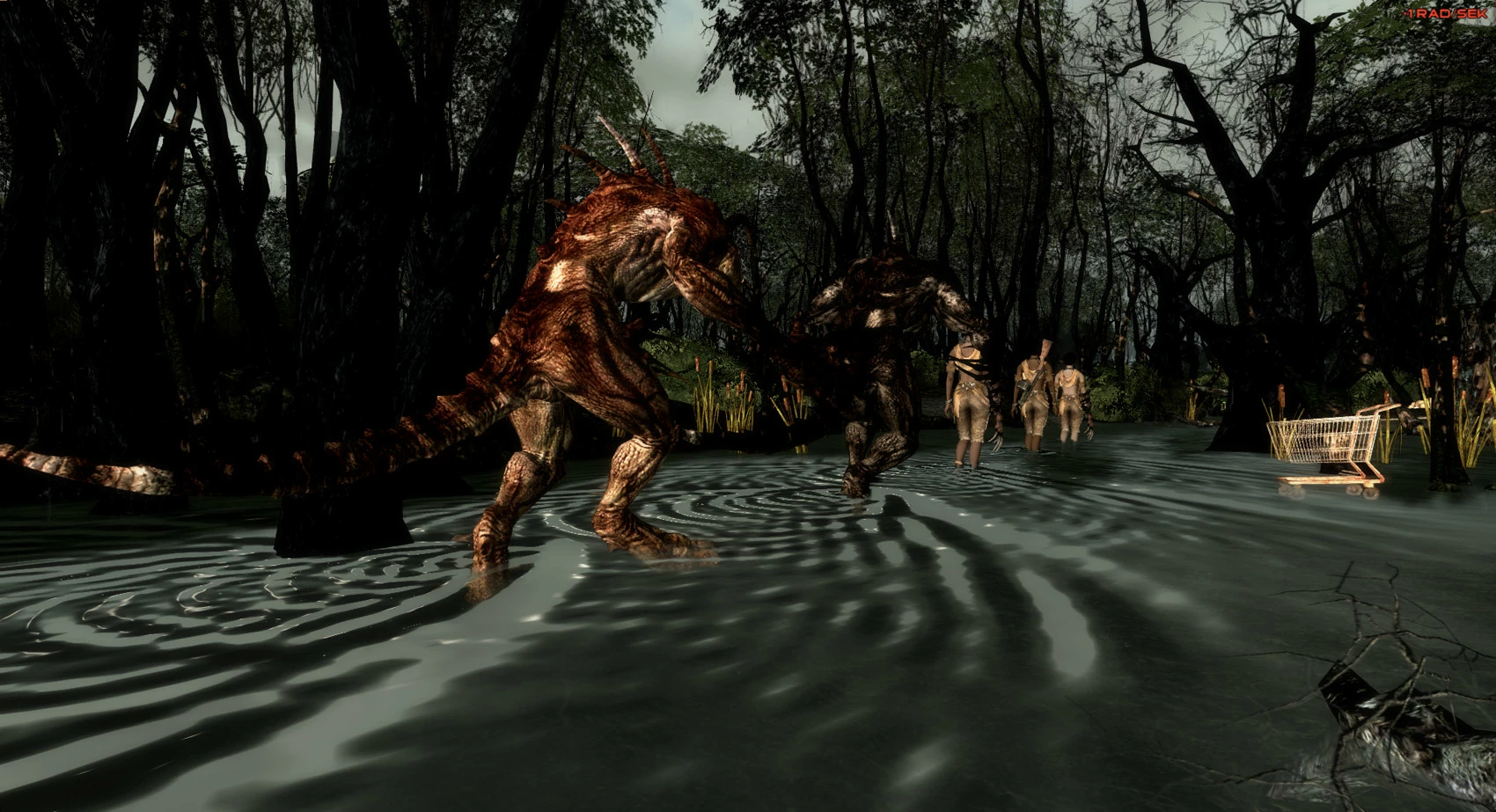 Tribal shamans Tribal shamans