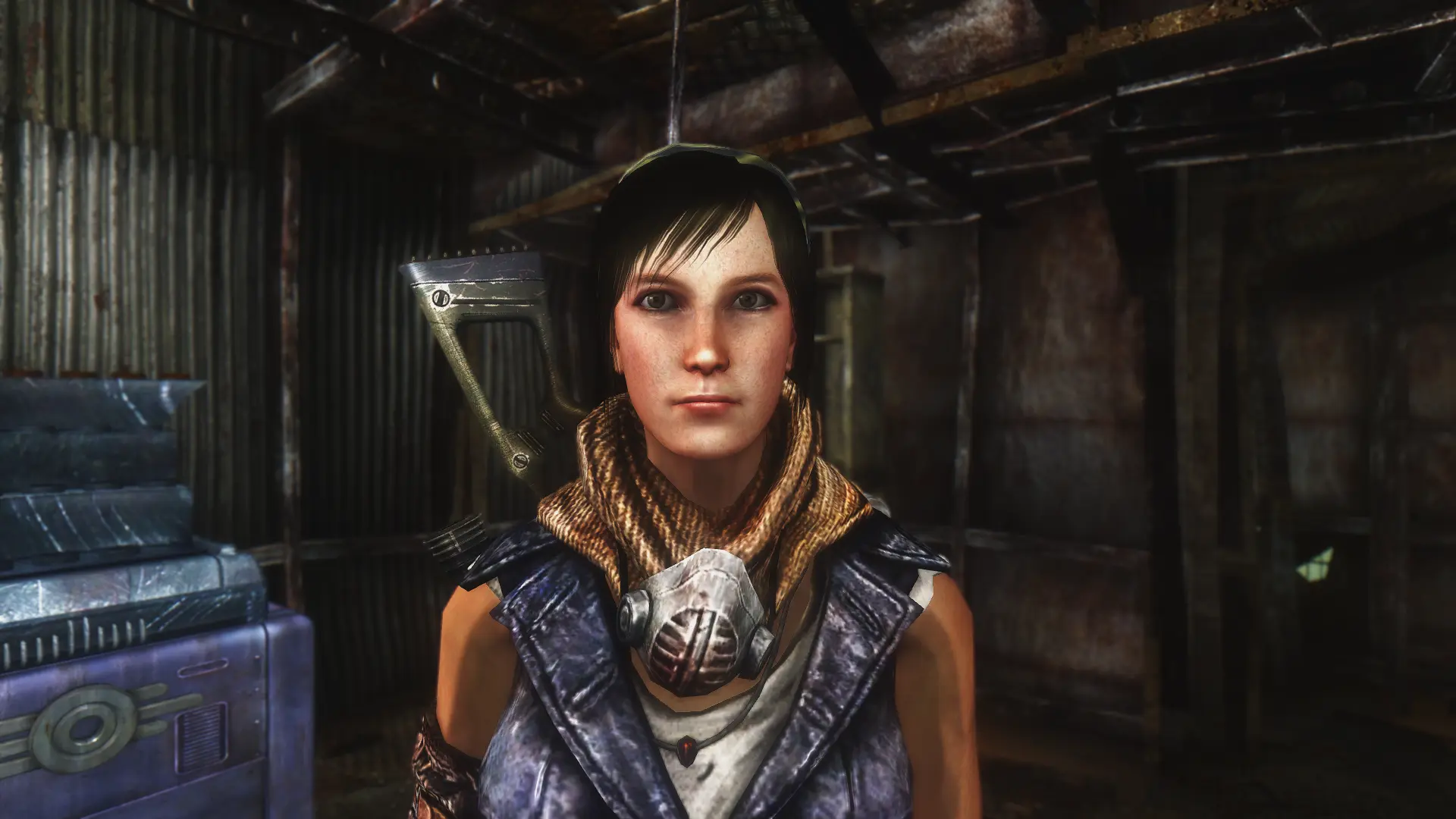 fallout 3 character mods