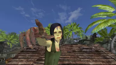 most important fallout 3 nexus