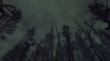 Capital Wasteland Impressions
