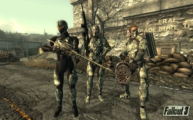 Fallout3 Nexus - mods and community