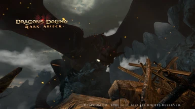 Coop's Simple Mod Pack at Dragons Dogma Dark Arisen Nexus - Mods and  community