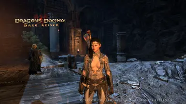 Priestess at Dragons Dogma Dark Arisen Nexus - Mods and community