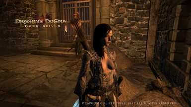 Remastering Dragon's Dogma Sneak Peek at Dragons Dogma Dark Arisen Nexus -  Mods and community