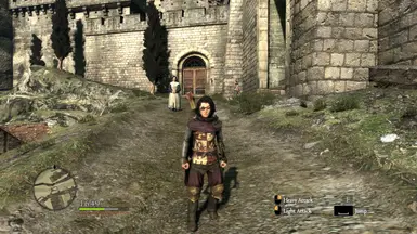 Young Assassin At Dragons Dogma Dark Arisen Nexus Mods And Community