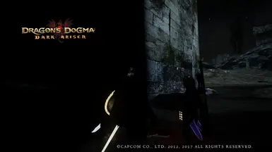 Priestess at Dragons Dogma Dark Arisen Nexus - Mods and community