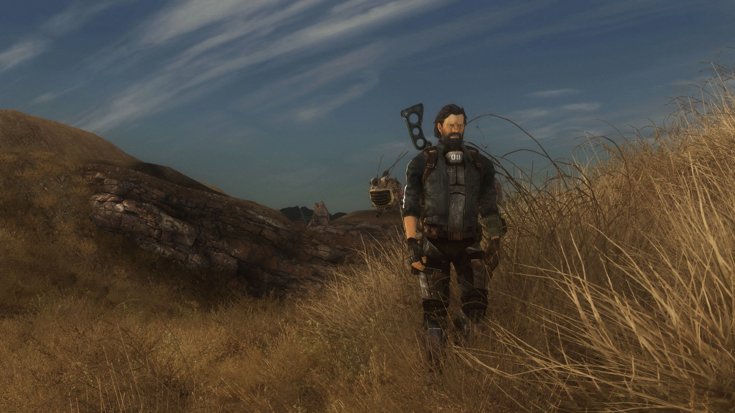 good mods for fallout new vegas