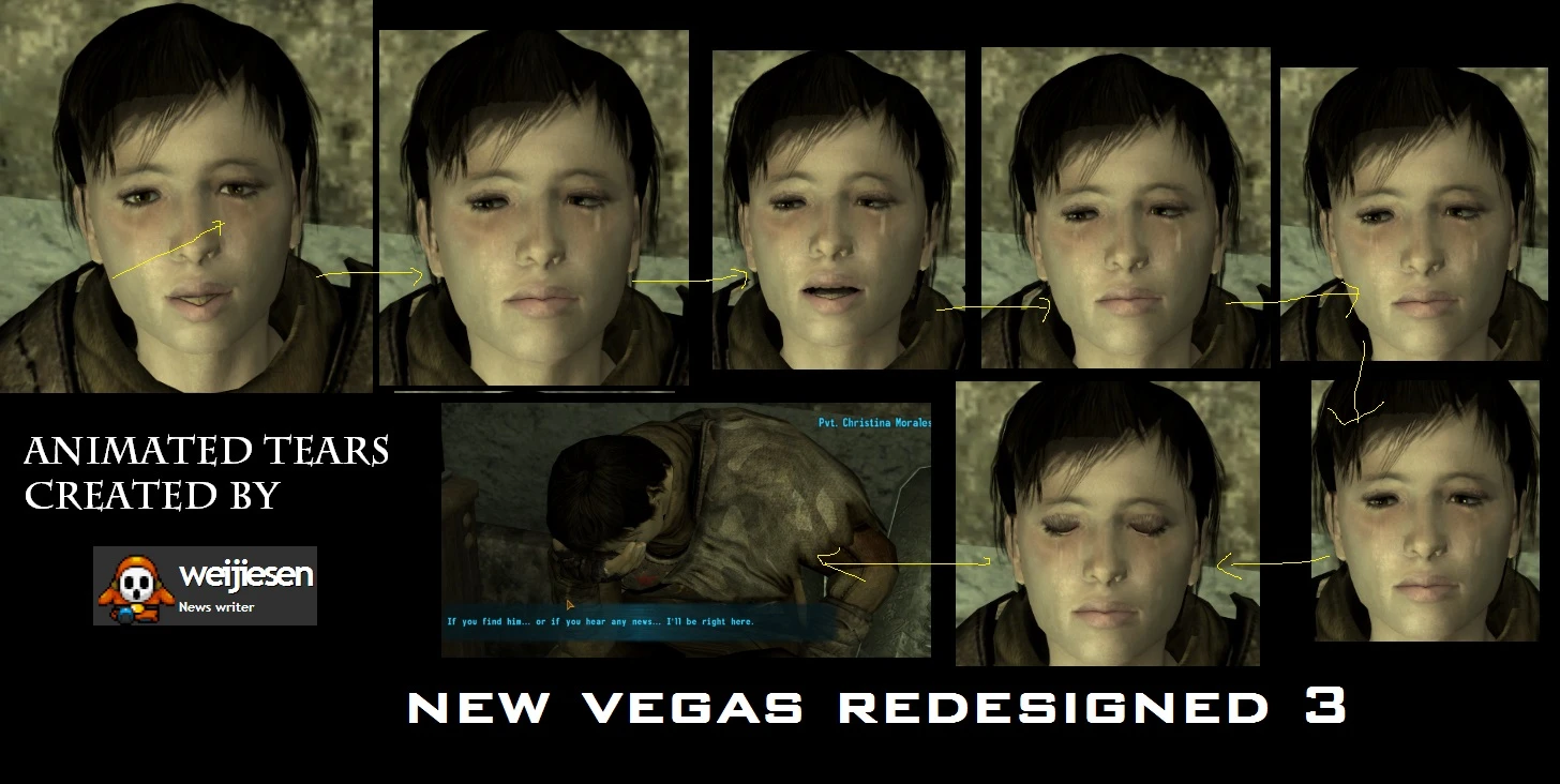 how to install fallout new vegas redesigned 3