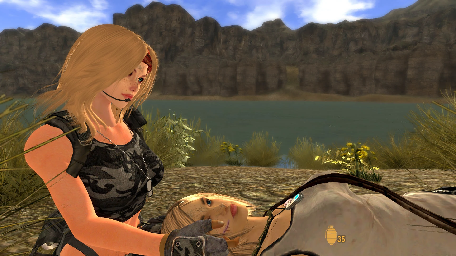 the best fallout new vegas mods