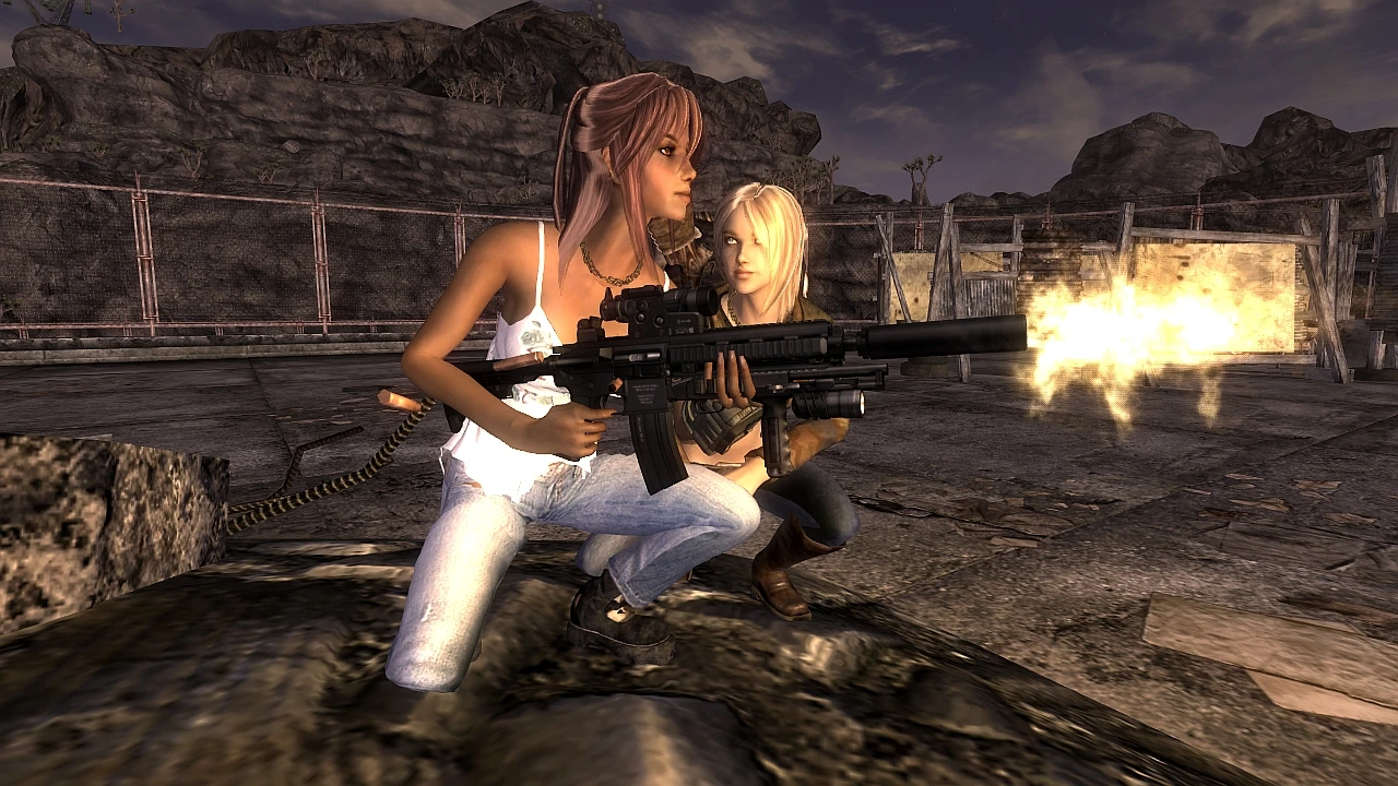 Fallout New Vegas Willow Companion Mod Download