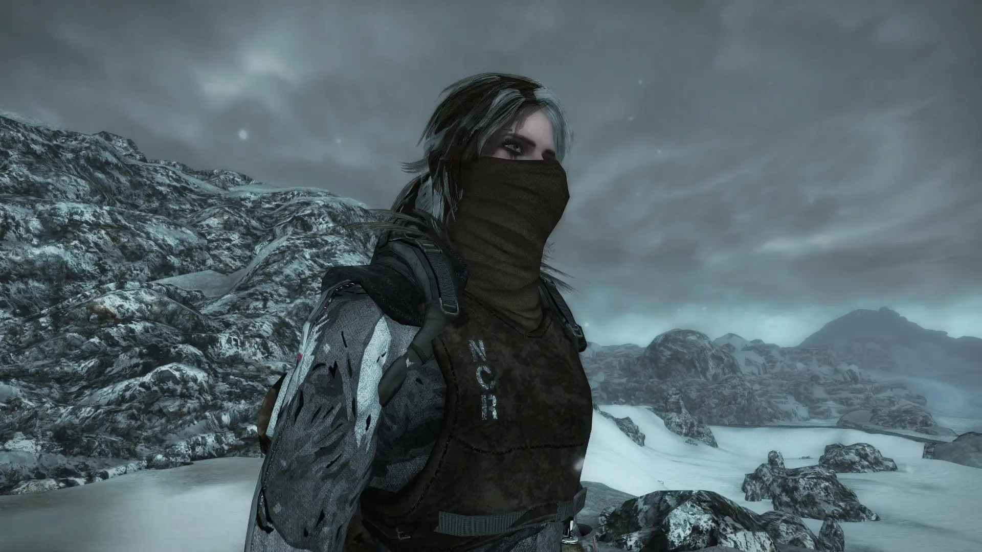 Winter Soldier at Fallout New Vegas - mods and community