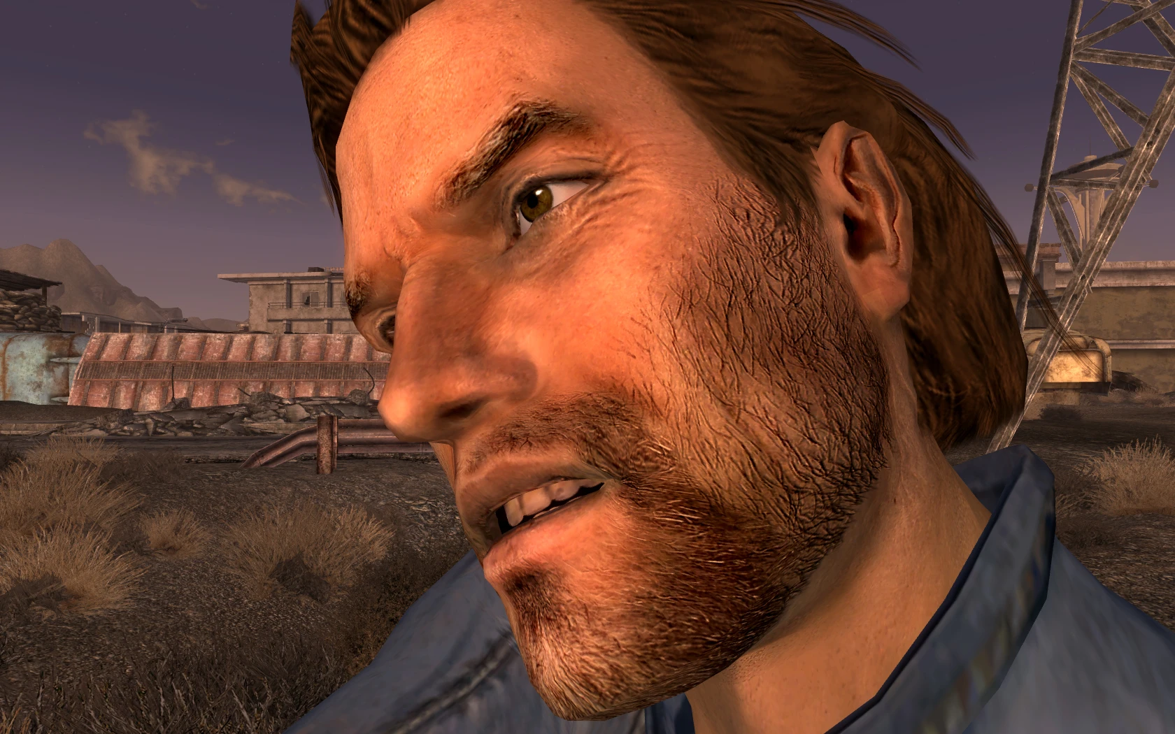 fallout new vegas character overhaul colored face