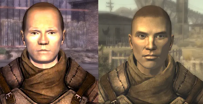 fallout nv character overhaul