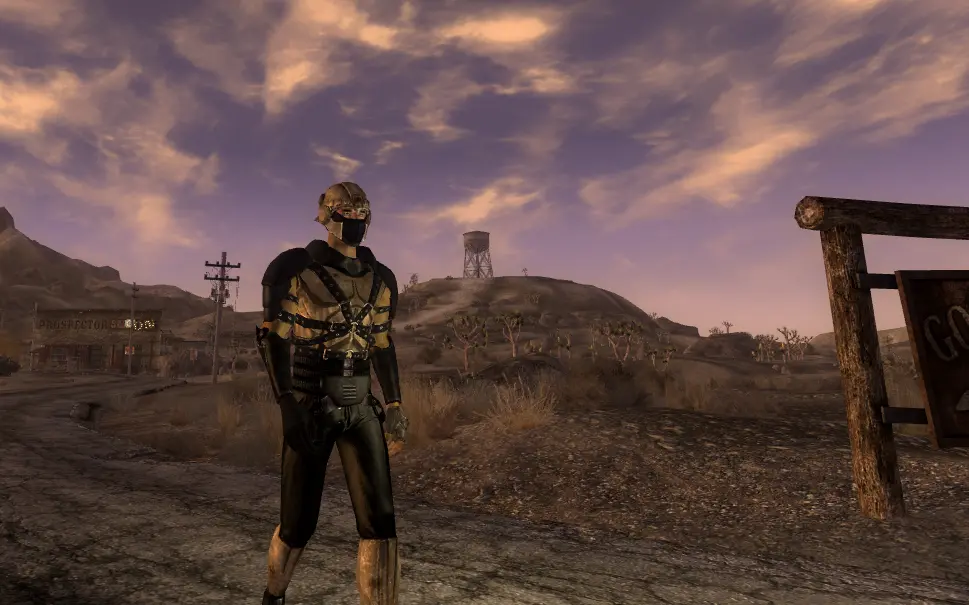 Flu at Fallout New Vegas - mods and community