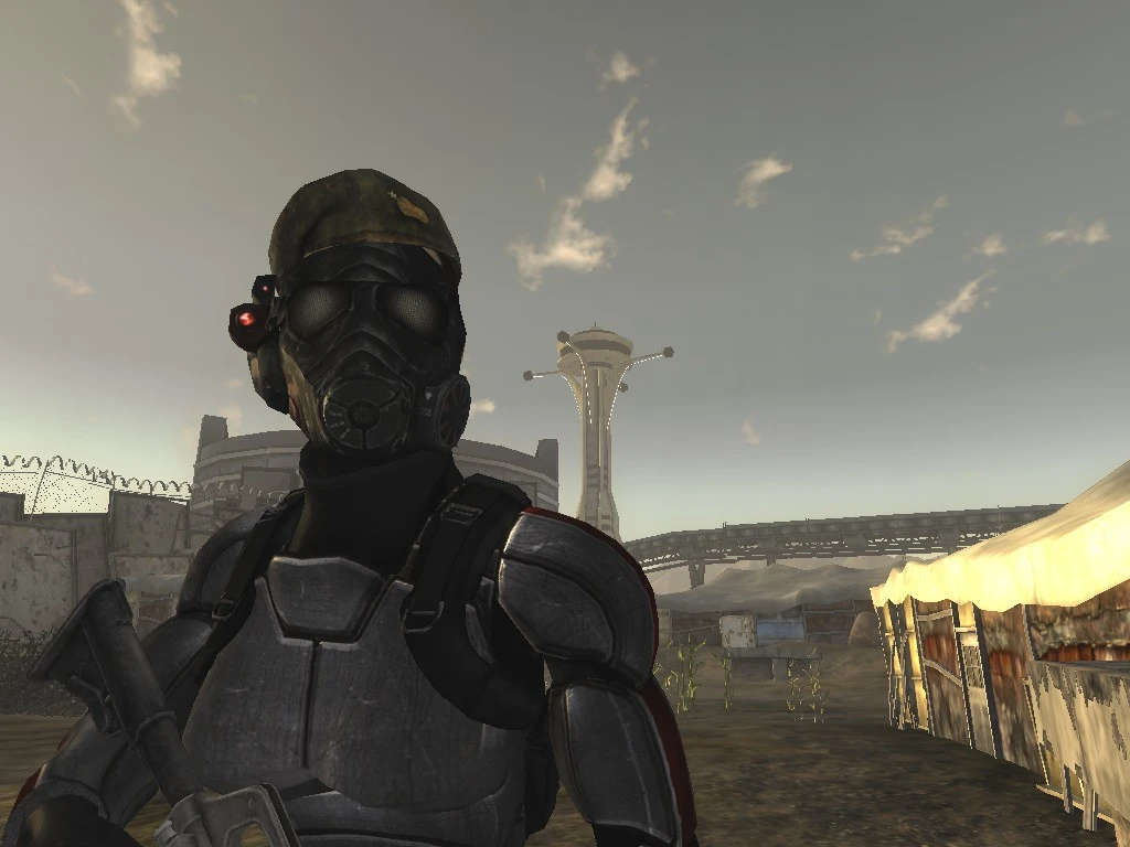 Fallout new vegas mercenary pack описание