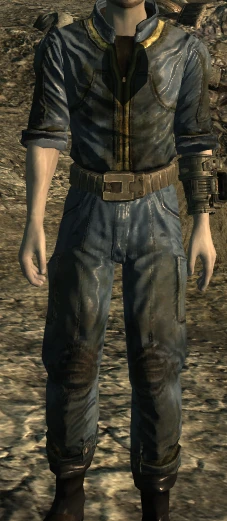 Robberts Dad's Wasteland Outfit Error at Fallout New Vegas - mods and  community