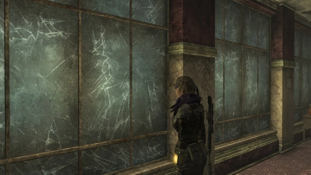 Assassins and Opaque Windows Assassins and Opaque Windows