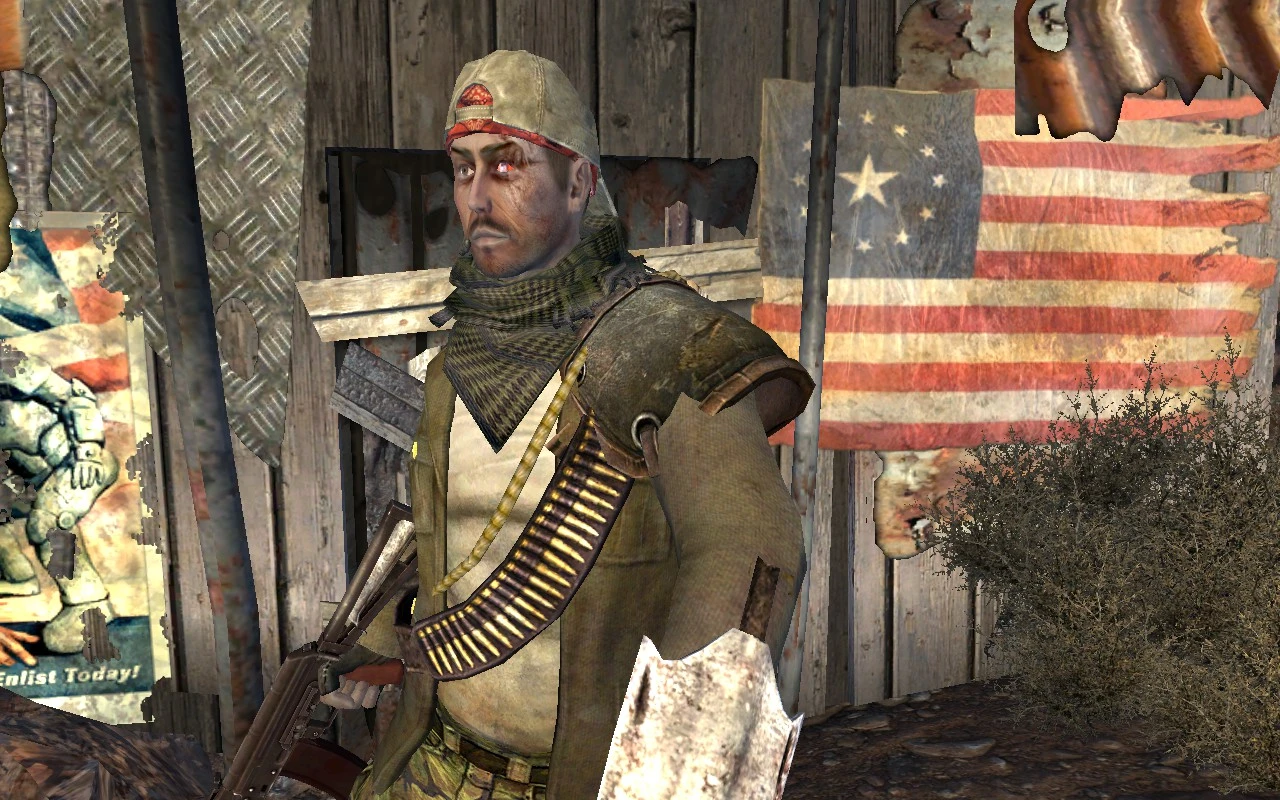 fallout new vegas ammo mod