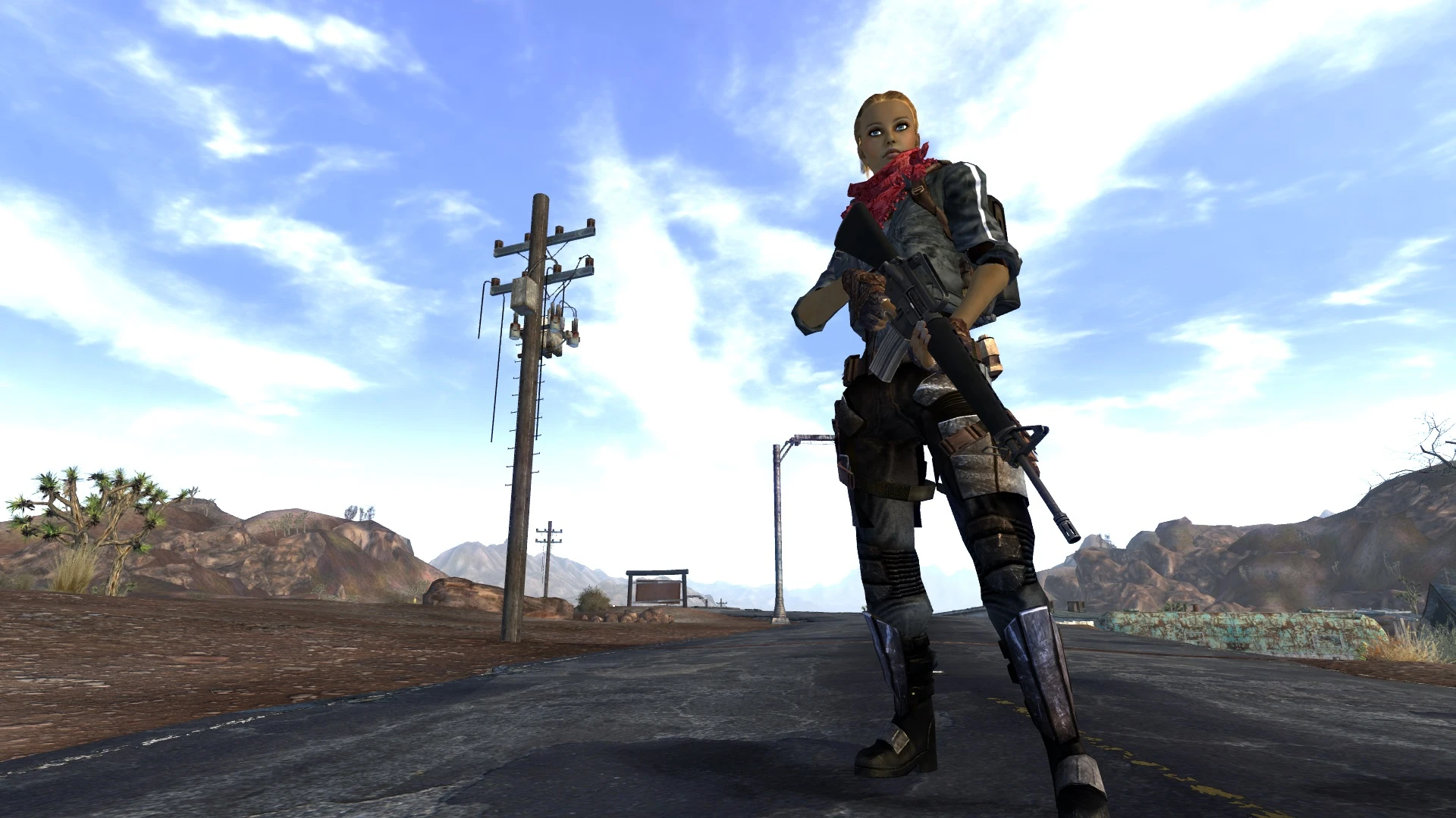 Fallout new vegas mercenary pack описание