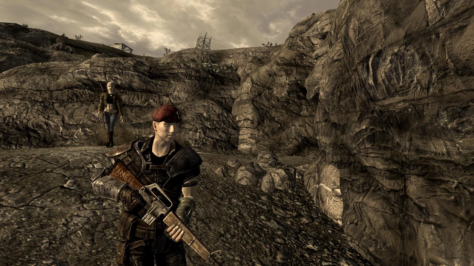 Survivalists Rifle at Fallout New Vegas - mods and community