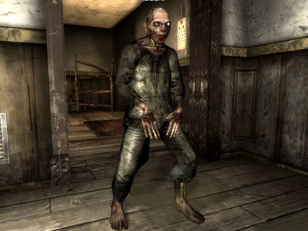 Fallout new vegas zombie apocalypse mod