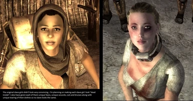 The 2nd Slave Girl Redesigned At Fallout New Vegas Mods And Community