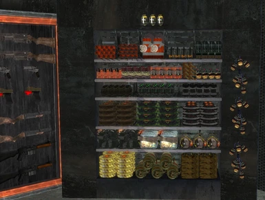 Armory Explosives shelves