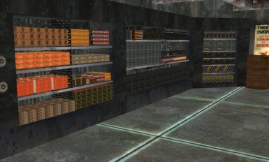 Armory Ammo shelves