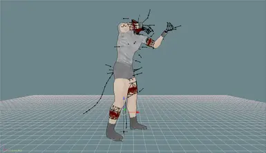 rigging and skinning