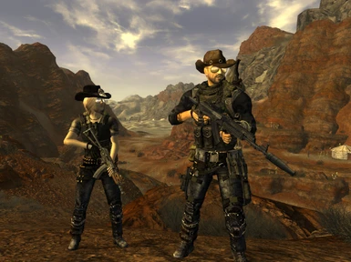 how to install mods manually fallout new vegas