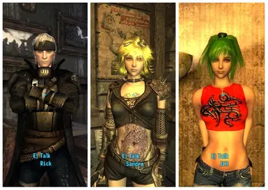 how to get companions in fallout new vegas