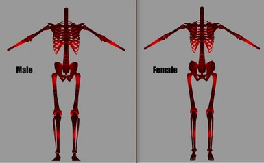 Slightly Improved Skeletons - Body