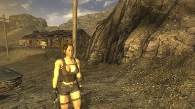 mods to make fallout new vegas look better