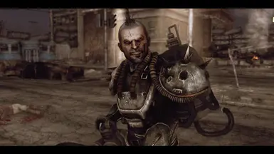 fallout new vegas character overhaul and enb