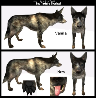Its a Dogs World - Dog Texture Overhaul